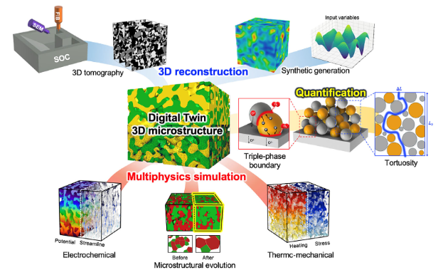 Digital Twin of Solid Oxide Electrochemical Cells: From 3D Microstructure Reconstruction to Multiphysics Modeling